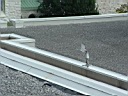 20040814-10.jpg