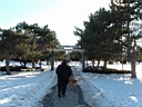 20050305-02.jpg