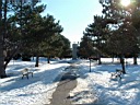 20050305-03.jpg