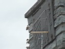 20050618-18.jpg