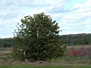 20041003-032.jpg