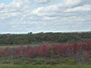20041003-033.jpg