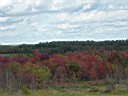 20041003-035.jpg