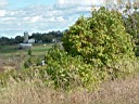 20041003-038.jpg