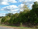 20041003-043.jpg