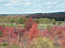 20041003-048.jpg