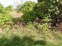 20041003-049.jpg