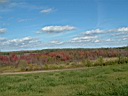 20041003-064.jpg