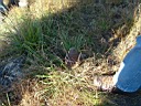 20041003-079.jpg