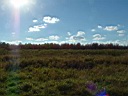 20041003-081.jpg