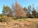 20041003-084.jpg