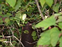20041003-087.jpg