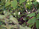 20041003-088.jpg