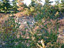 20041003-096.jpg