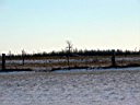 20041227-05.jpg