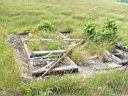 20050625-110.jpg