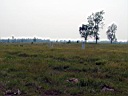 20050625-111.jpg