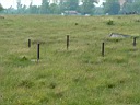 20050625-119.jpg