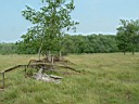 20050625-134.jpg