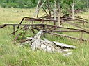 20050625-135.jpg