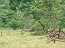 20050625-136.jpg