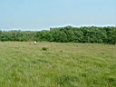 20050625-139.jpg