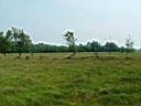 20050625-141.jpg