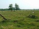20050625-149.jpg