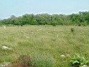 20050625-153.jpg