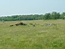 20050625-157.jpg