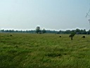 20050625-159.jpg