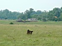 20050625-160.jpg
