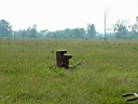 20050625-161.jpg