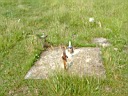 20050625-164.jpg